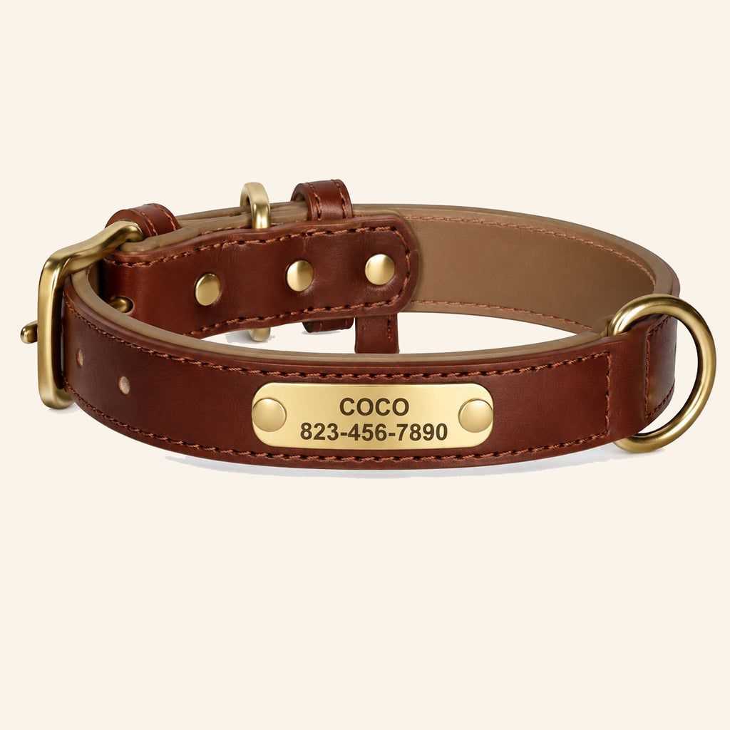Collier Personnalisé pour Chien