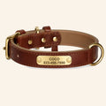 Collier Personnalisé pour Chien