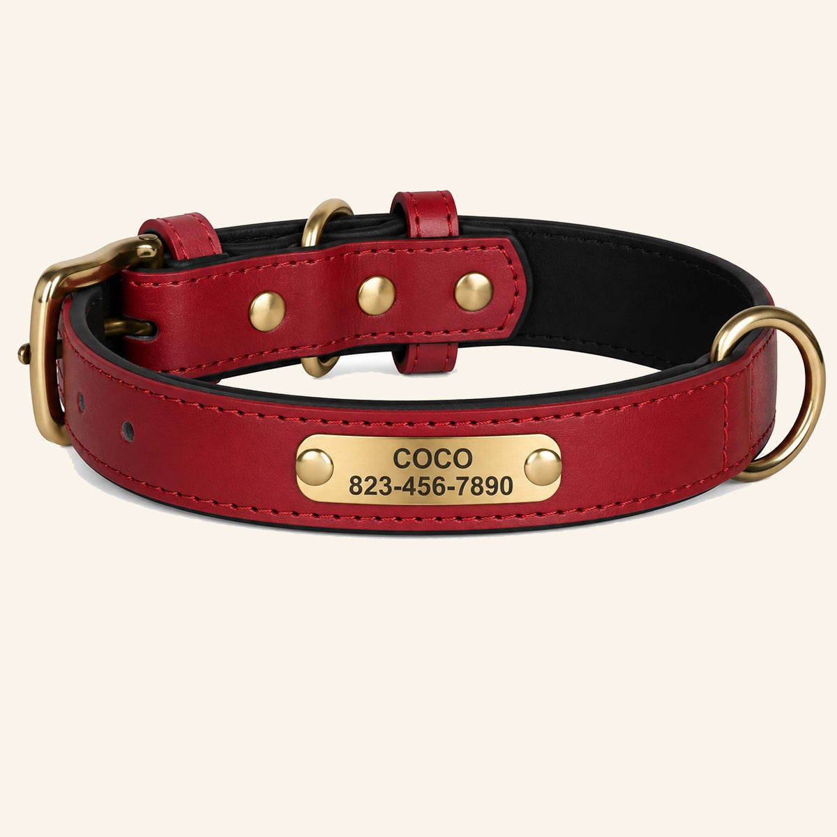 Collier Personnalisé pour Chien