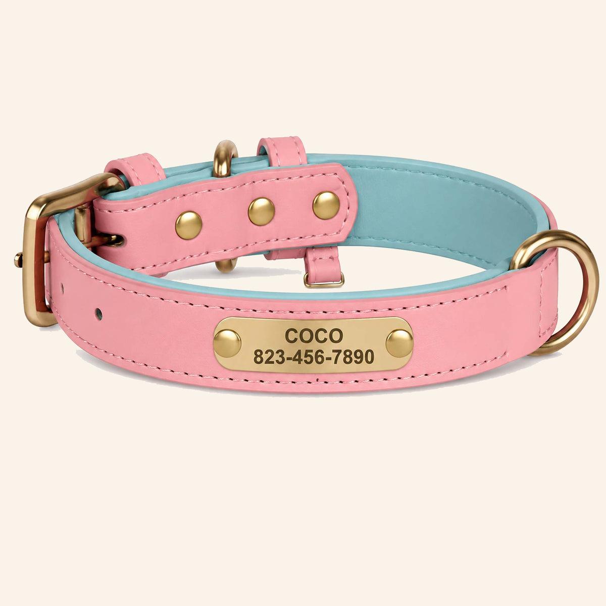Collier Personnalisé pour Chien