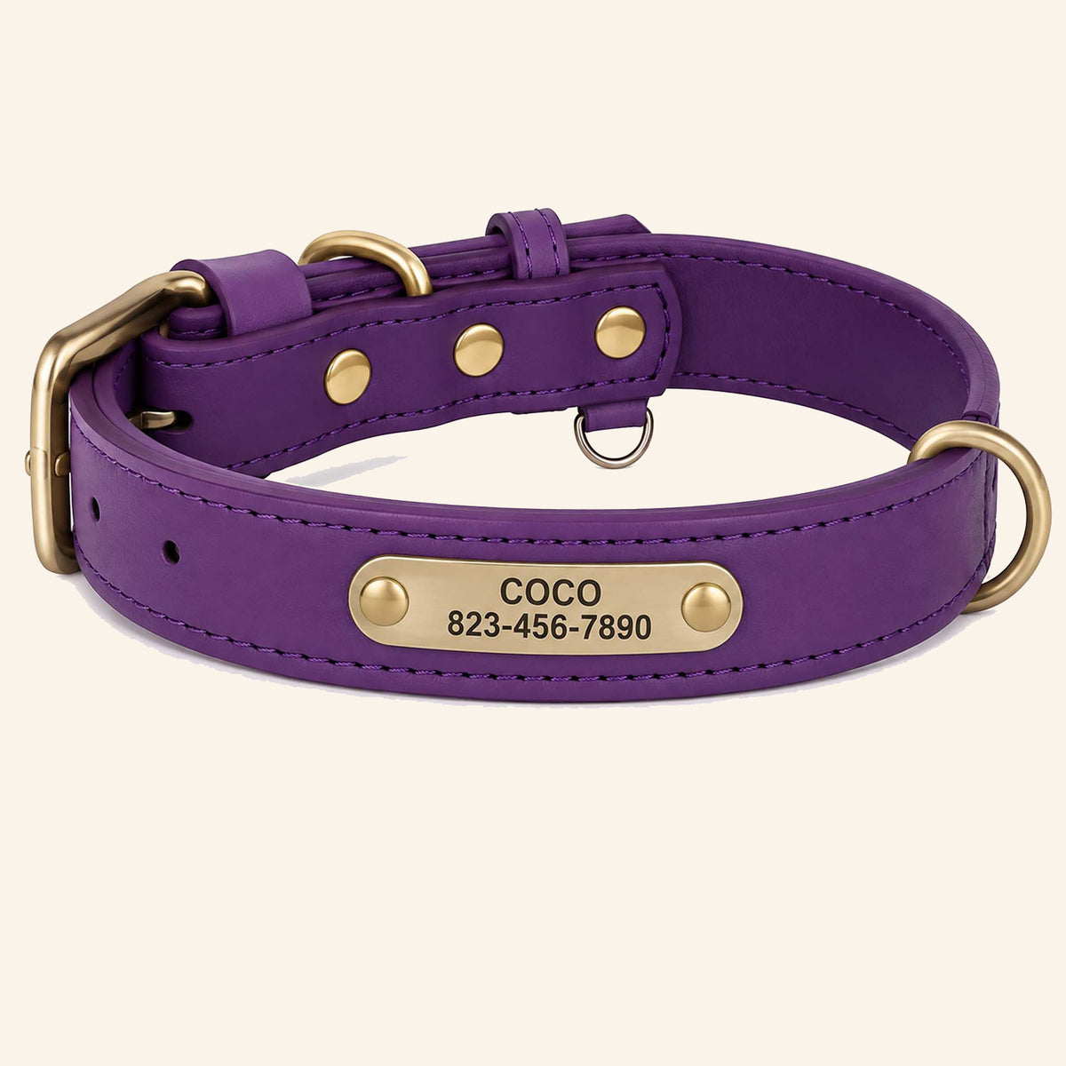 Collier Personnalisé pour Chien
