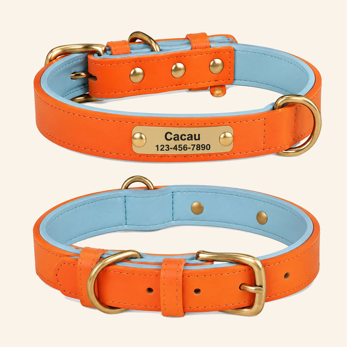 Collier Personnalisé pour Chien